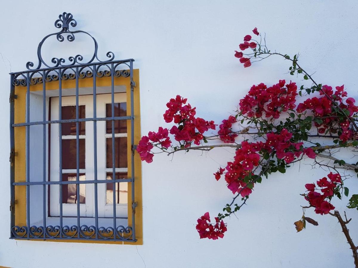 فيلا Quinta De Evoramonte إيستريموز المظهر الخارجي الصورة