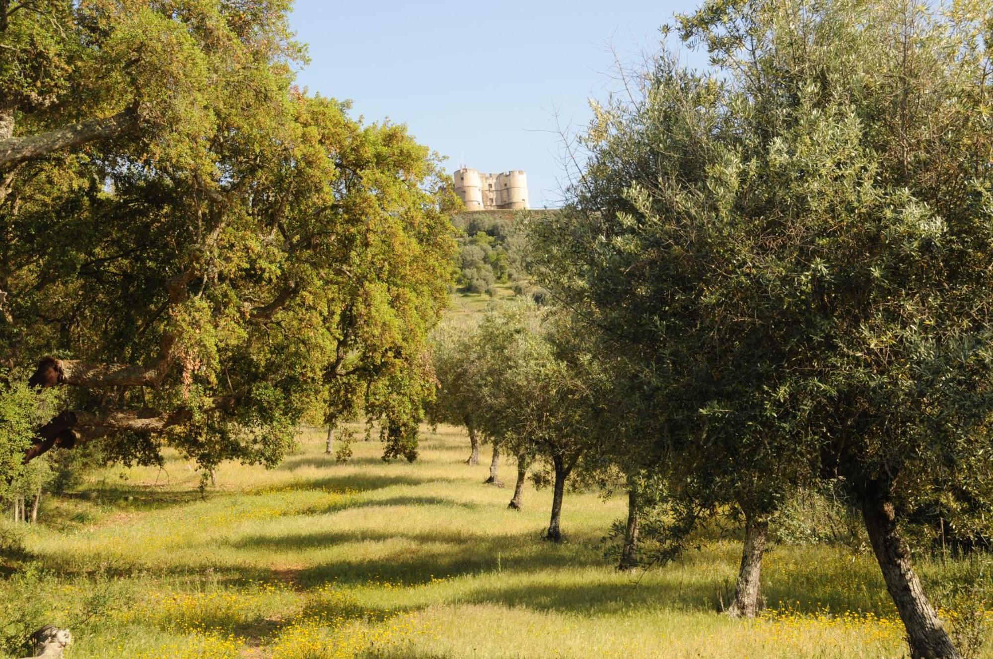 فيلا Quinta De Evoramonte إيستريموز المظهر الخارجي الصورة